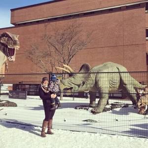 Meet your Posher, Regiene